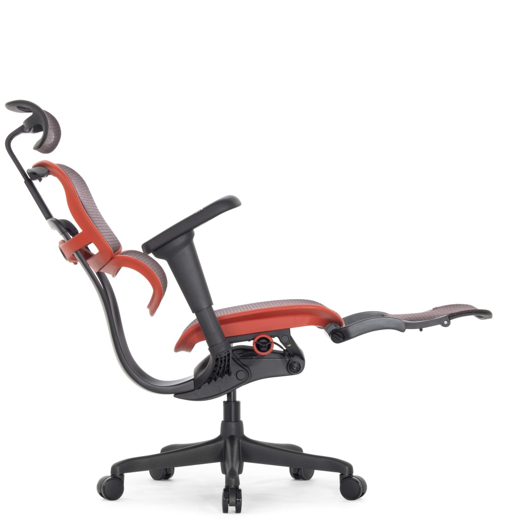 g_ehu_r_ham_5d_lm_ch_084_fnc.jpg g_ehu_r_ham_5d_lm_ch_084_fnc.jpg